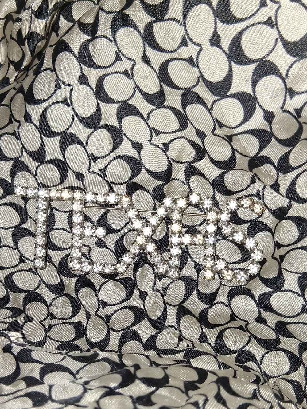Rhinestone TEXAS Script Pin